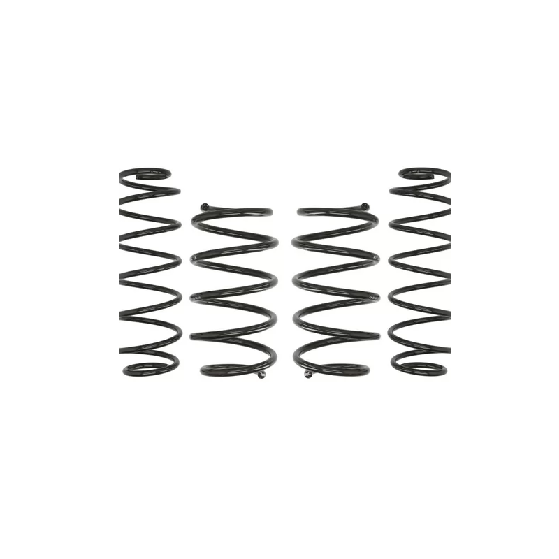Set of 4 OE RENAULT springs