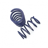 Dacia Duster springs